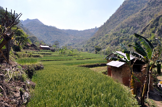 Rwenzori Mountains National Park