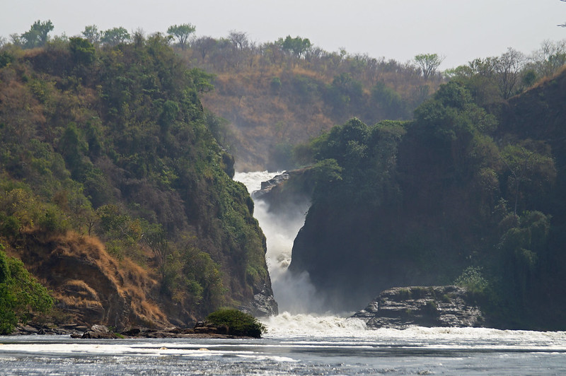 5-day   true Uganda safaris Murchison falls and Bwindi gorilla safari