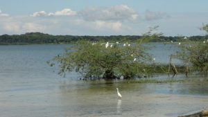 21 days long Uganda safaris.