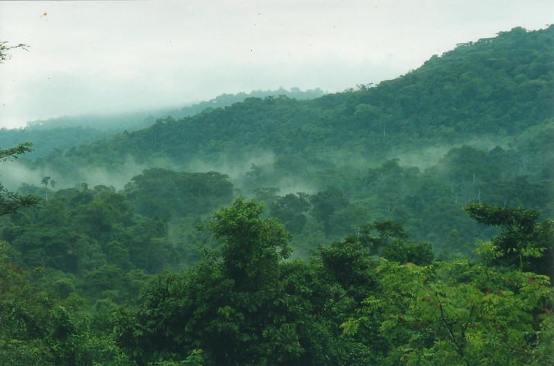Bwindi Impenetrable National Park