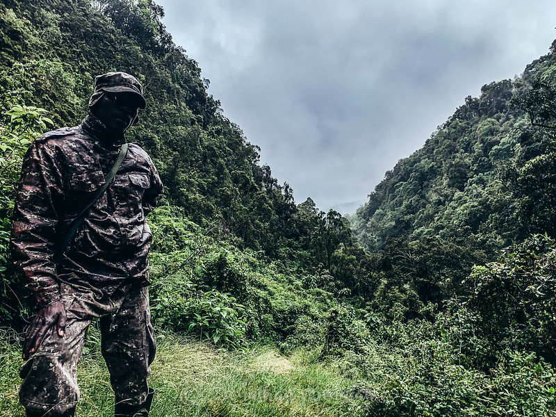 Hiking Mount Sabyinyo