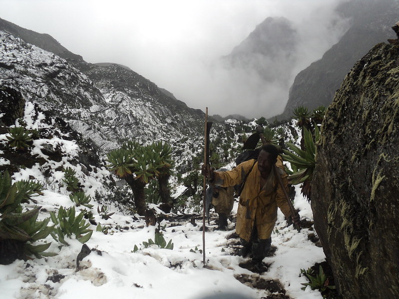 Rwenzori Mountains National Park