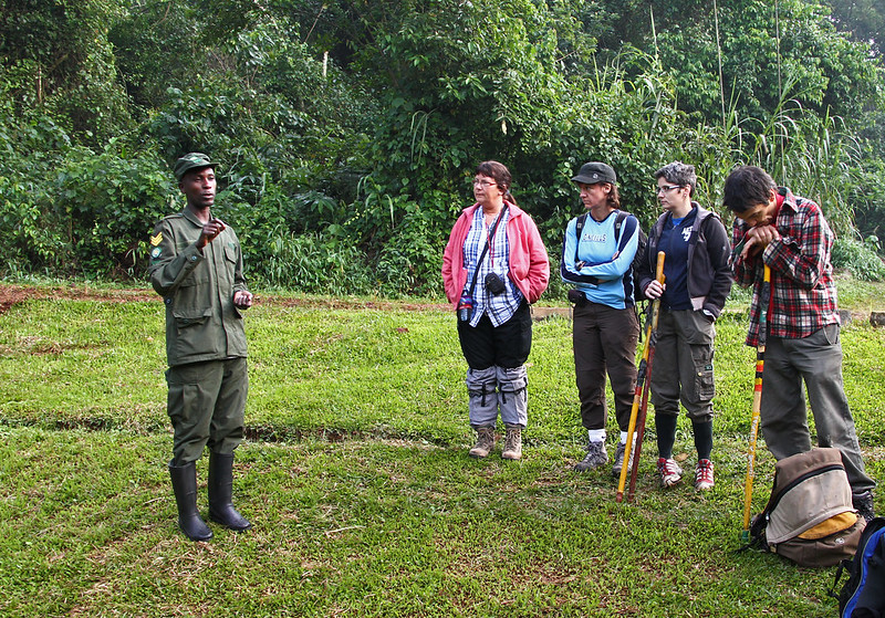  Affordable 3 days  gorilla trekking in Bwindi 