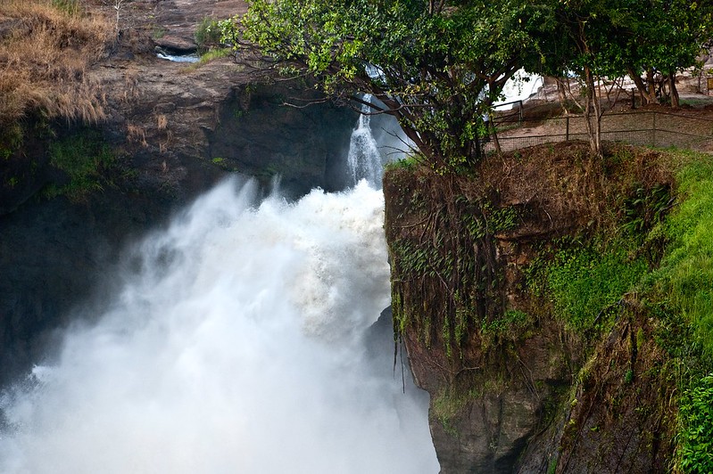 3 days Murchison fall safari