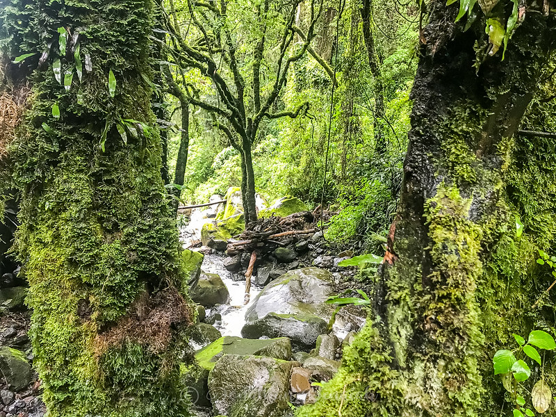 6 Days Mgahinga Hiking Safari