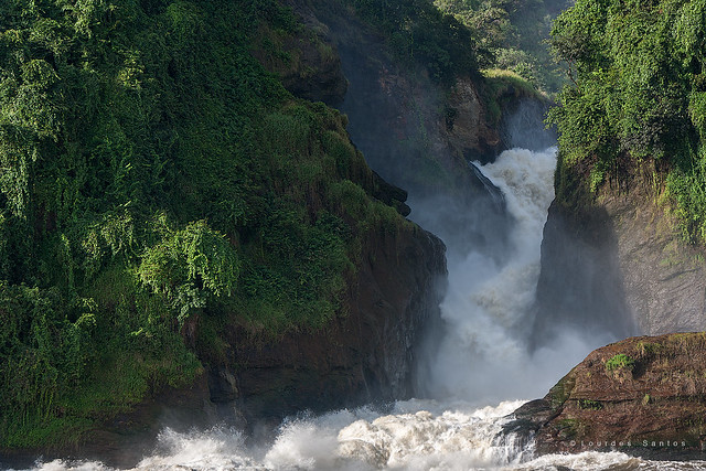 9-days Uganda safari