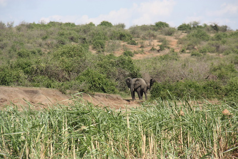 10 day safari in Uganda