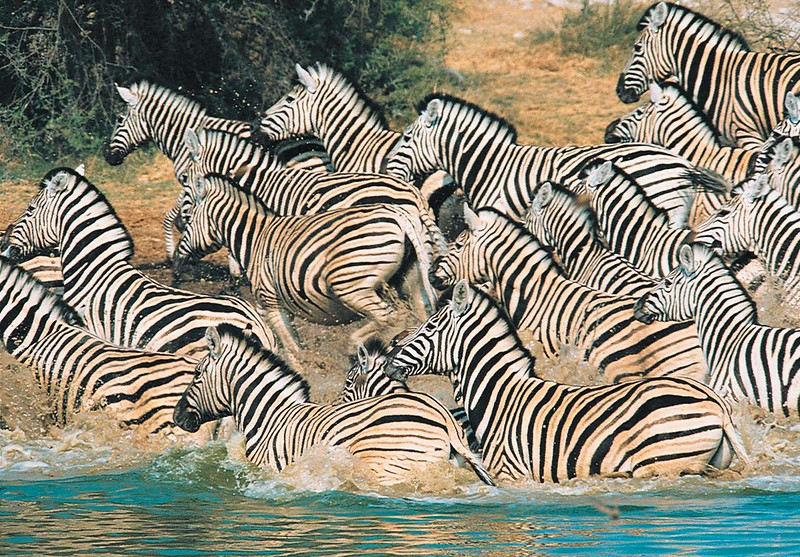  activities at lake mburo national park