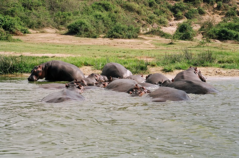 Queen Elizabeth National Park