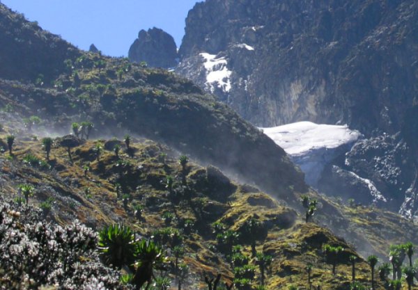 National Parks in Uganda