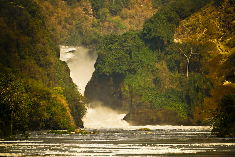 9 days Uganda safari