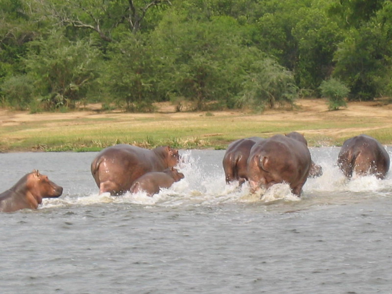 10 day Uganda safari 