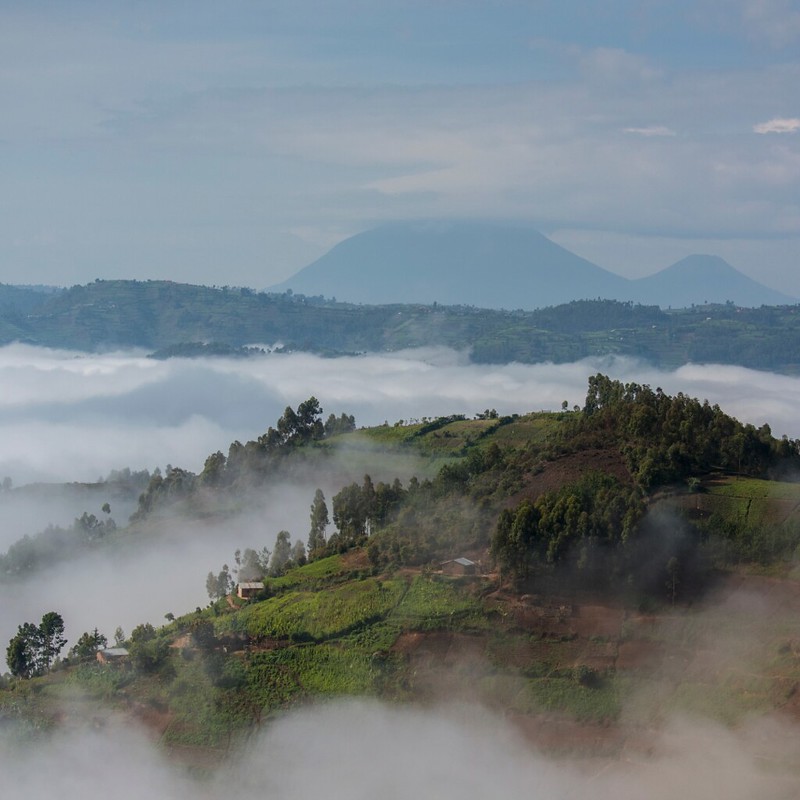 10-days classic Uganda wildlife safari