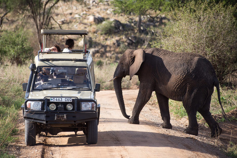 32959151396_ac715c90b8_c