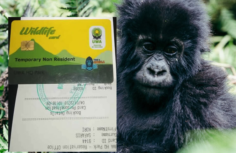 Gorilla permit