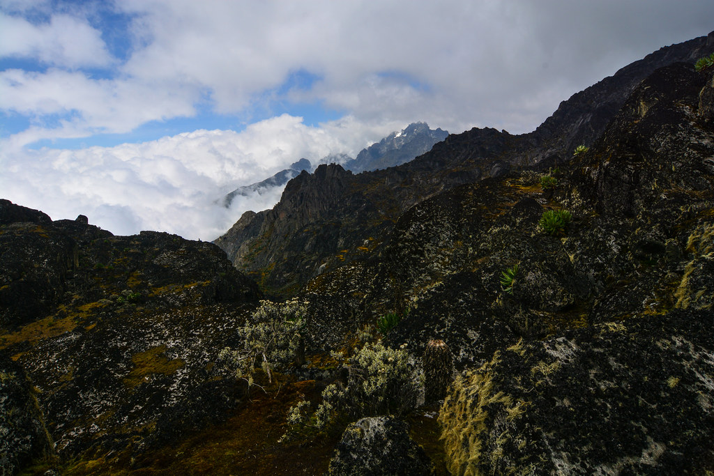 Rwenzori Mountain National Park