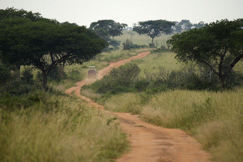 3 Day Murchison Falls Wildlife Safari